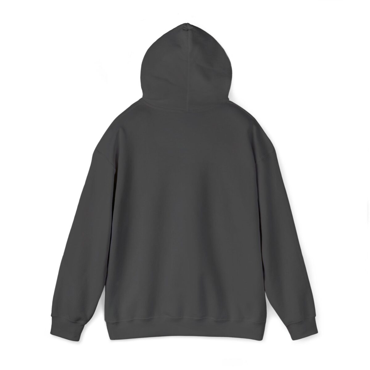 Unisex Embroidered Hoodie - Image 15